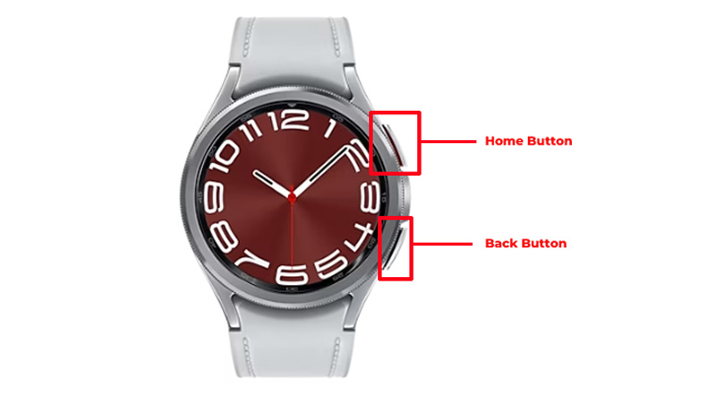 home and back button