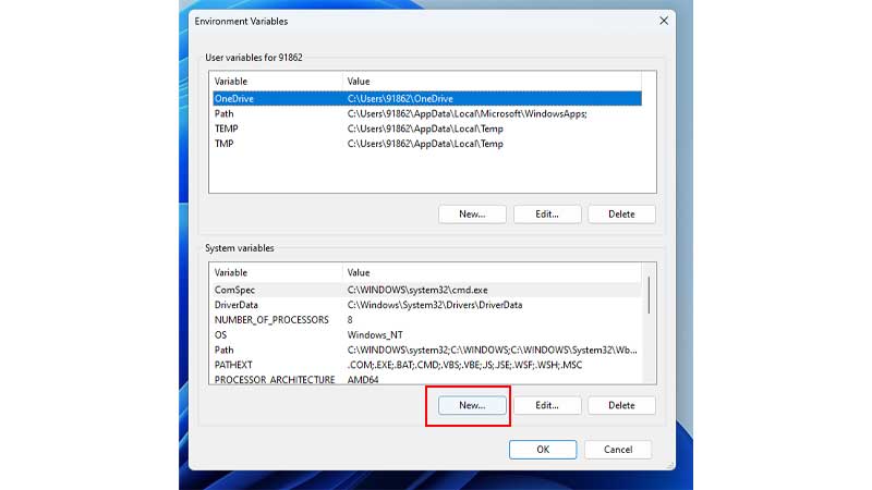New System Variables