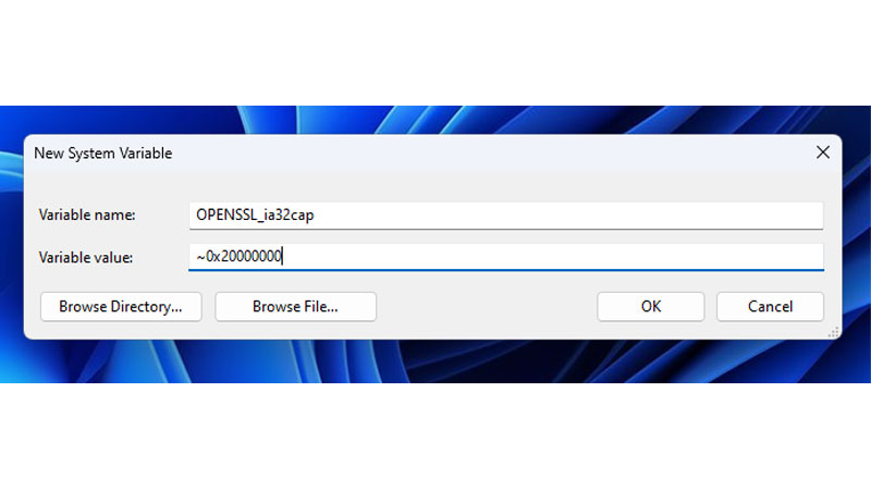 Variable Name and Value