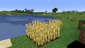 What do Sheep Eat in Minecraft